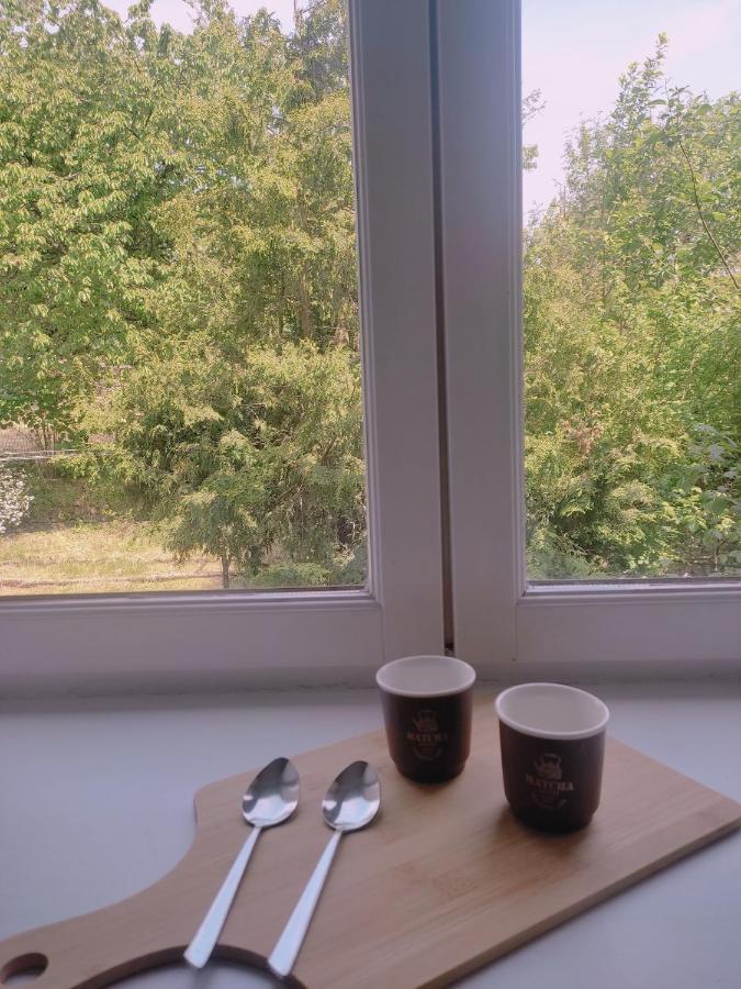 Sezane Apartman Bains-les-Bains Kültér fotó